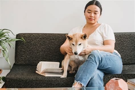 Do male dogs prefer female owners?